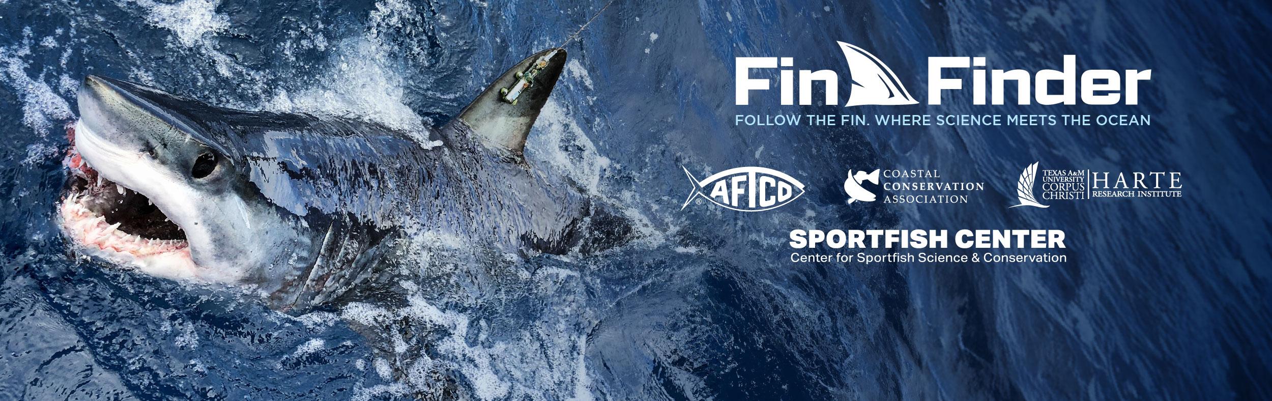 Fin Finder image