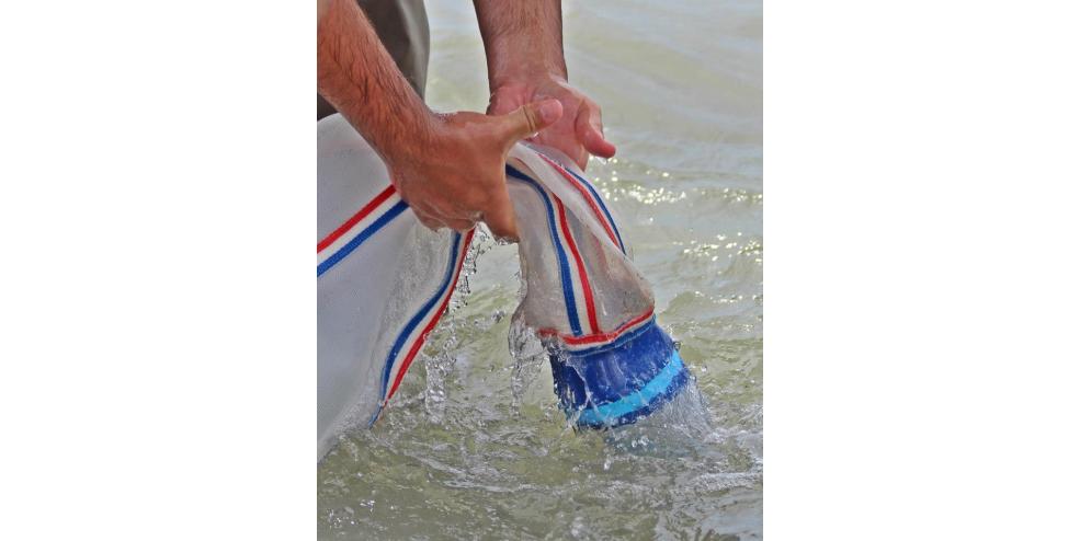 Rinsing the cod end of an epibenthic sled